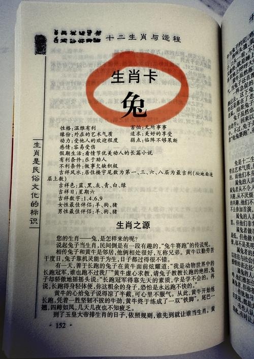 99年属什么生肖？插图