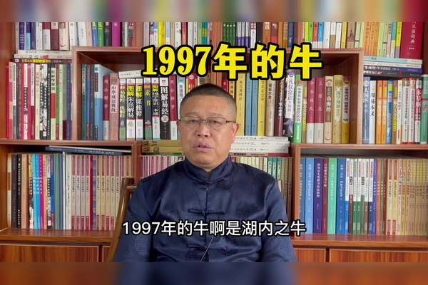 97年属牛人最佳婚配与生肖配对建议插图
