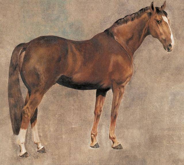 90年属马33岁有一劫，挑战与机遇并存插图