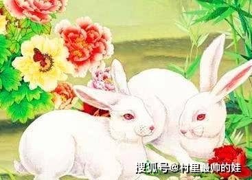 87年属兔人在2024年喜事连连插图