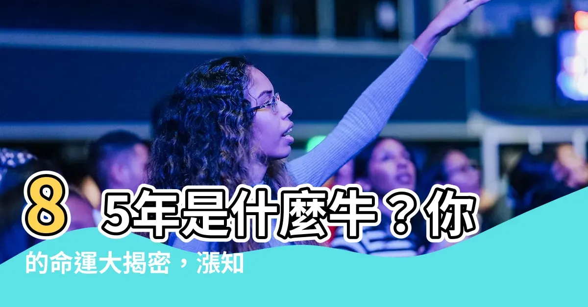 85年属牛的人性格特点分析插图