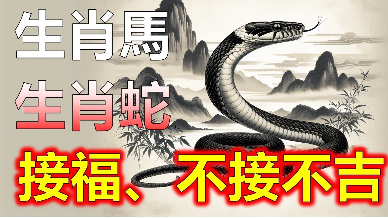 82年，属龙/蛇的玄机密码插图