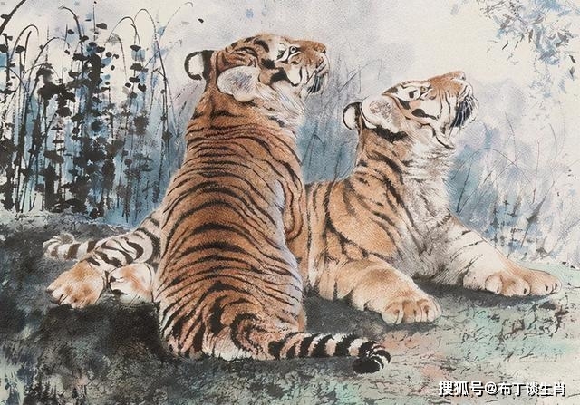 锦绣前程的生肖之星插图