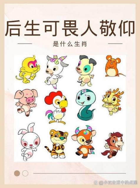 匍匐前进的生肖探索插图