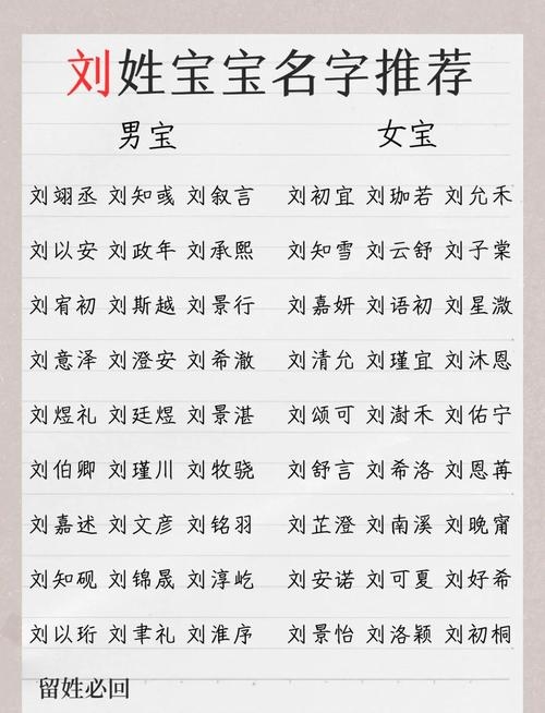 刘姓取名字大全男孩插图
