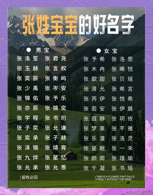 宝宝取名网，为您开启美好姓名之旅插图