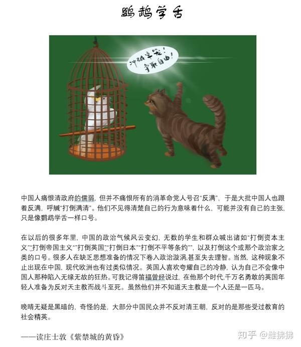 揭秘七嘴八舌背后的神秘动物—鹦鹉学舌之谜插图