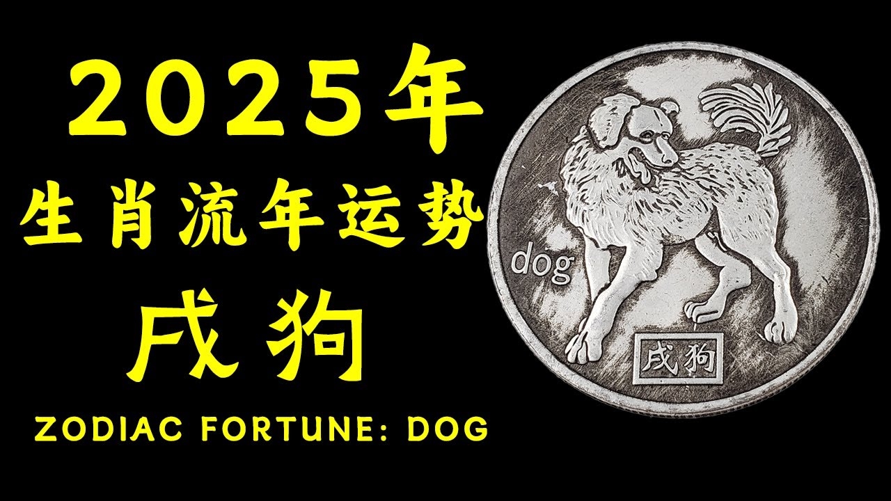 属狗人出生月命运，从一月到十二月的福泽与挑战插图