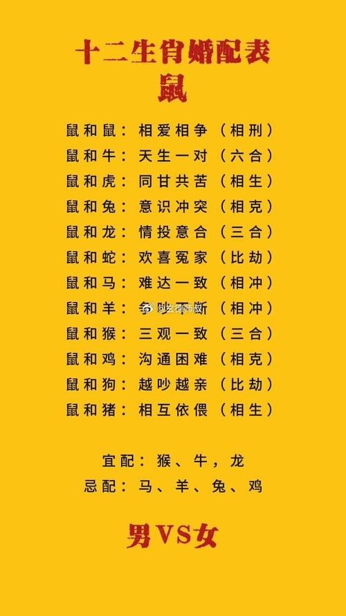 属鼠人的婚姻与命运插图 属鼠人的婚姻与命运插图