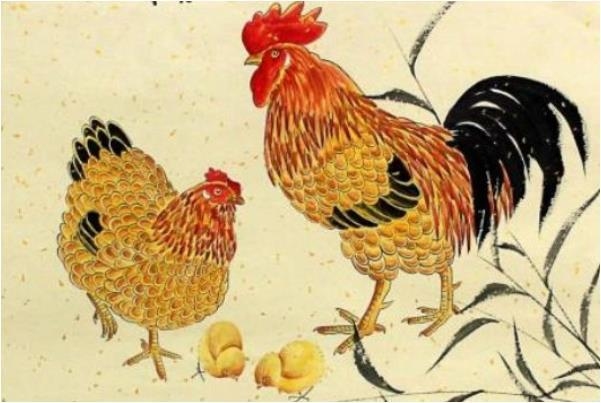 属鸡人的婚姻与命运插图