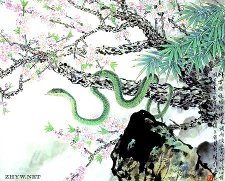 属蛇人2013年运势展望插图