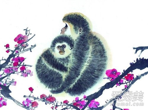 属猴人2020年运势及运程详解插图