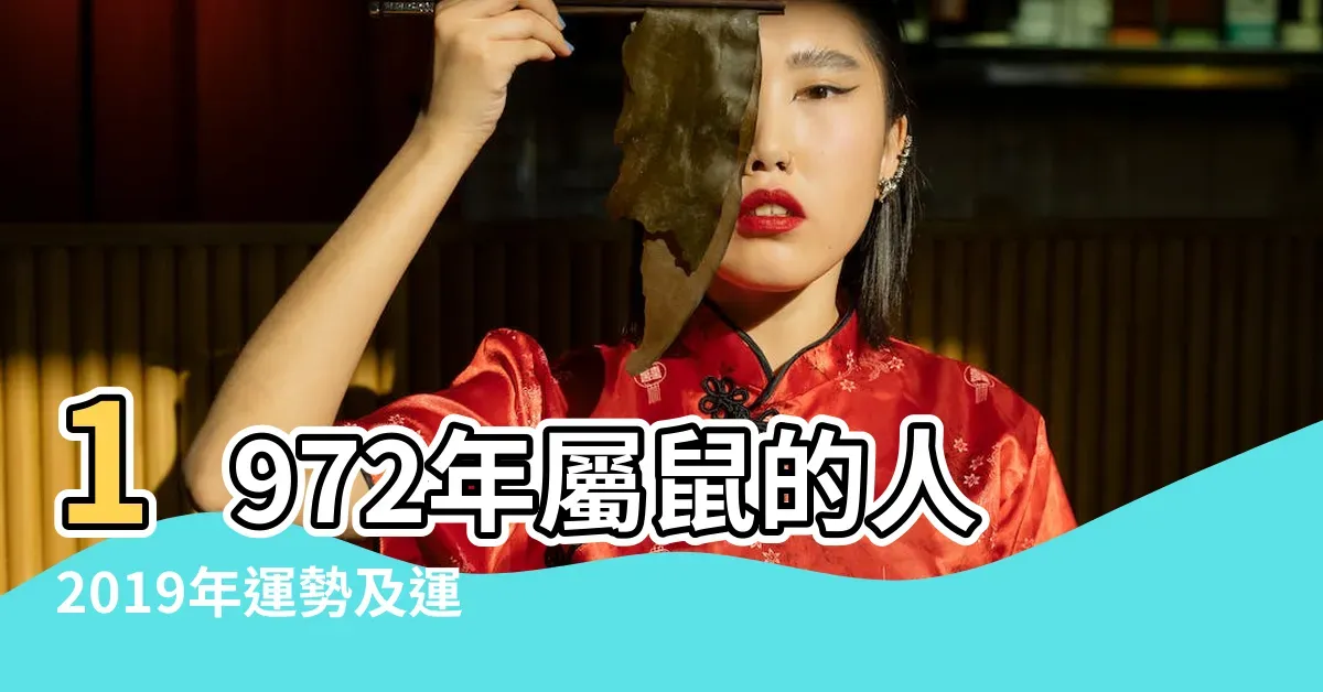 属鼠人在2019年的运势展望插图 属鼠人在2019年的运势展望插图