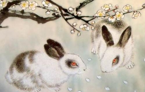 属兔人在2020年的运势及运程插图 属兔人在2020年的运势及运程插图