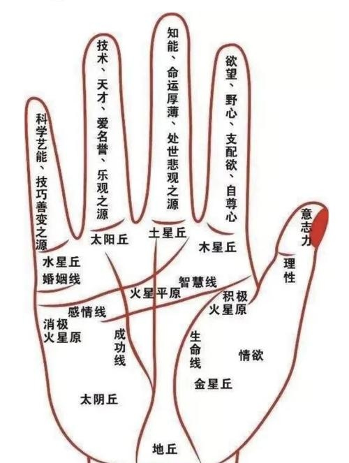 掌纹算命图解，解读与启示插图