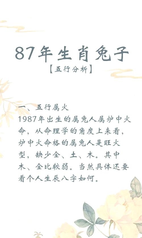 揭秘生肖奥秘，1987年属什么？插图