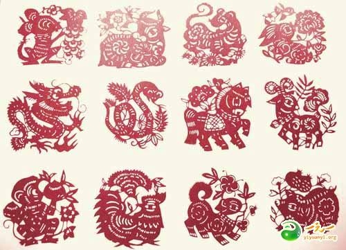 揭秘四舍五入的生肖传奇插图 揭秘四舍五入的生肖传奇插图