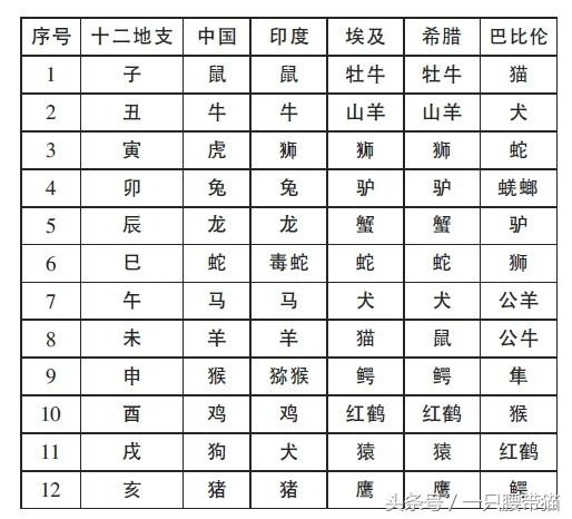 揭秘生肖奥秘，探寻属于82年的生肖属性插图
