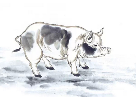 滔滔生肖—揭秘滔滔不绝的动物所属生肖插图