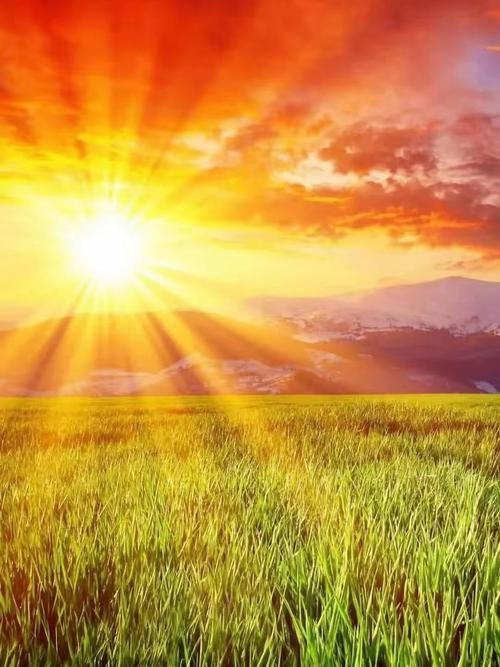 曦是什么意思，晨光中的温暖与希望插图