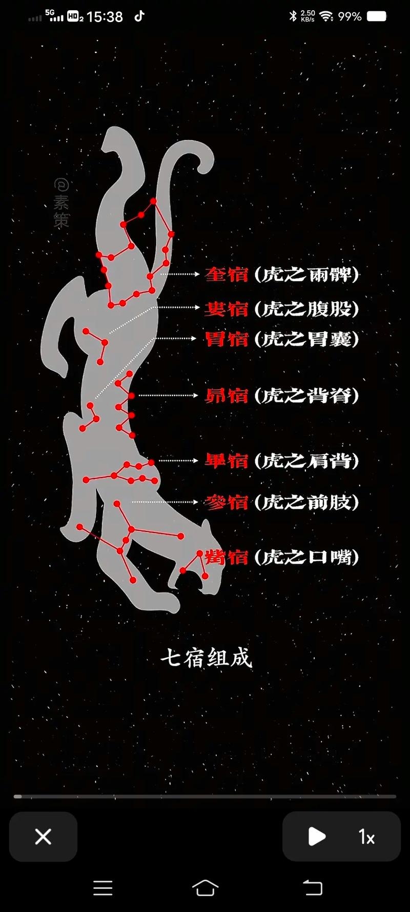 探秘神秘的白虎，文化与象征的双重解读插图