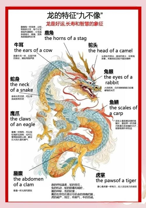 探秘生肖之龙，传统文化中的长生不死象征插图