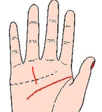 探寻手相密码，看手相视频，开启人生新维度插图