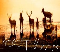 揭秘十月末的神秘日子—探寻10月29日的特殊意义插图