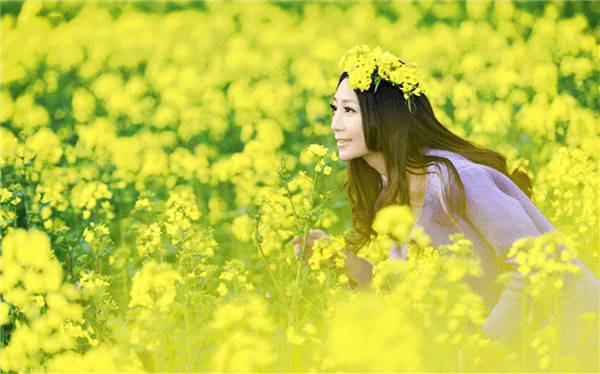 崭露头角生肖揭秘插图