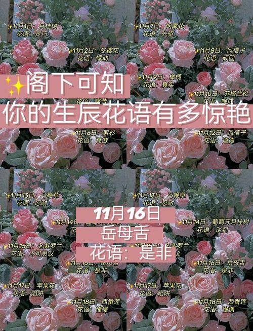 揭秘特殊日子—11月14日的含义插图