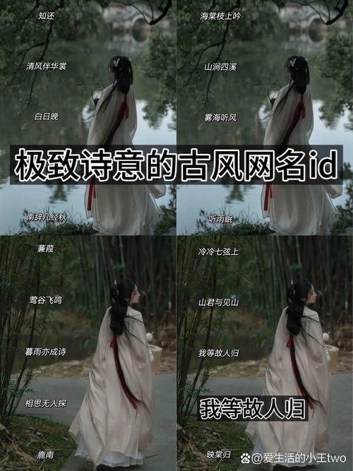 微信网名推荐，蒹葭采采、巧倩美盼抚琴笑沧桑。插图