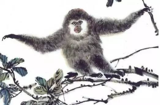 化险为夷的生肖—猴插图