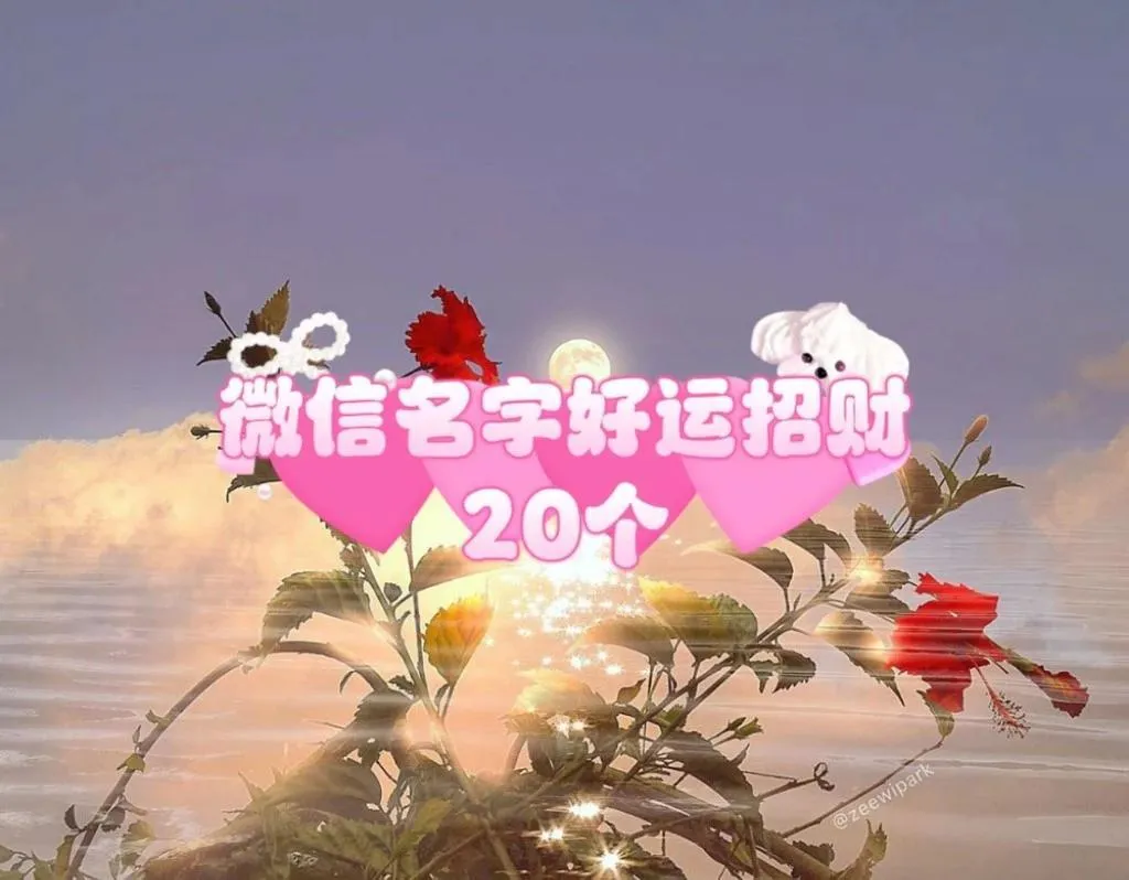 微信昵称的魅力,如何起一个最吸引人的微信昵称插图 微信昵称的魅力,如何起一个最吸引人的微信昵称插图