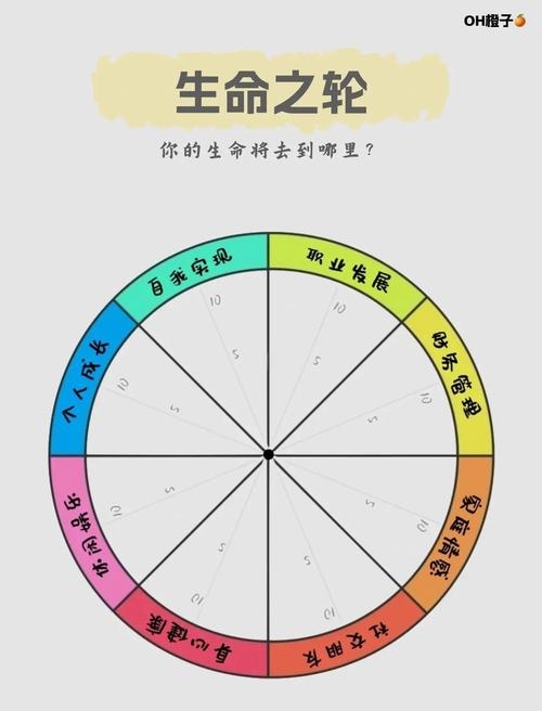 揭秘，出生于1986年的命运之轮插图