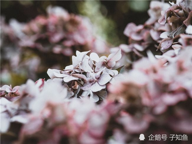 摩羯座的爱情，理性与情感的交织插图