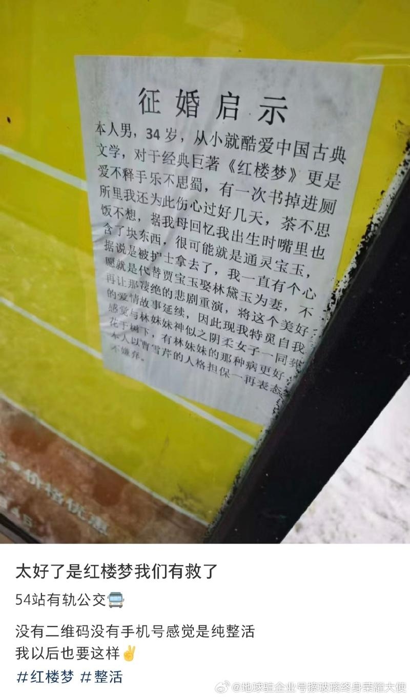 凤翔征婚，表达真诚、渴望回应的词语插图