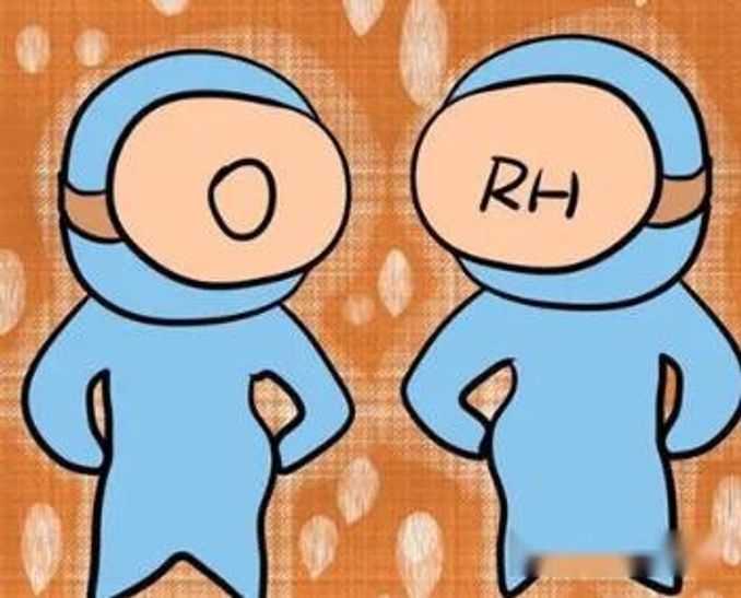 O型血女生的独特魅力与健康指南插图