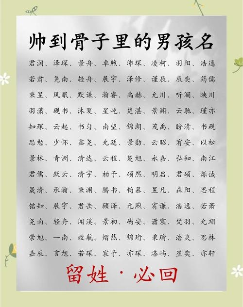 男宝宝起名大全，给孩子的专属名牌插图