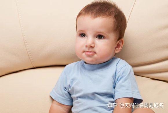 兔宝宝取名指南，如何选择最佳名字？插图