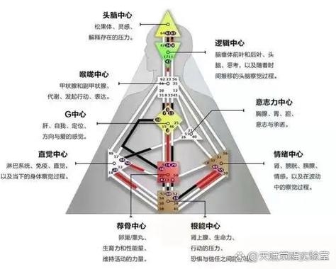 摩羯星群与T型大三角,挑战中显坚韧,智慧助力破局插图 摩羯星群与T型大三角,挑战中显坚韧,智慧助力破局插图