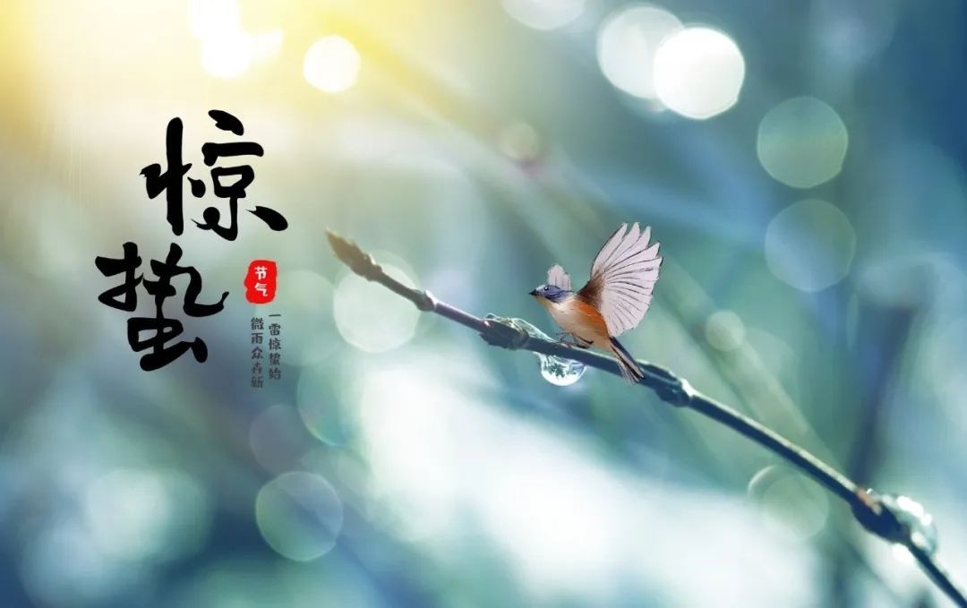 惊蜇是什么意思，唤醒春天的节气插图