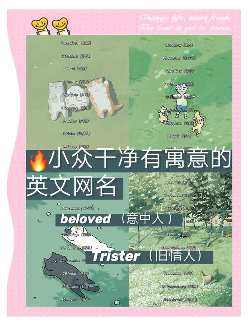 探寻男生英语名字的魅力，那些令人心动的词汇插图