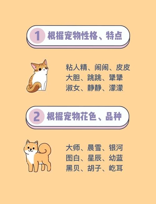炫舞宠物名字大全，独特与创意的完美结合插图