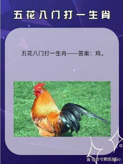 鸡犬相闻生肖探秘插图