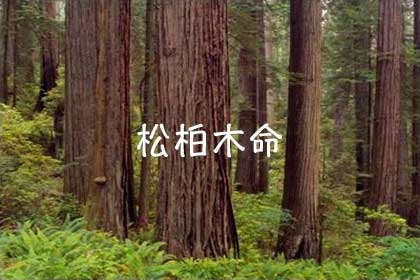 庚寅辛卯，松柏木之坚韧与希望插图