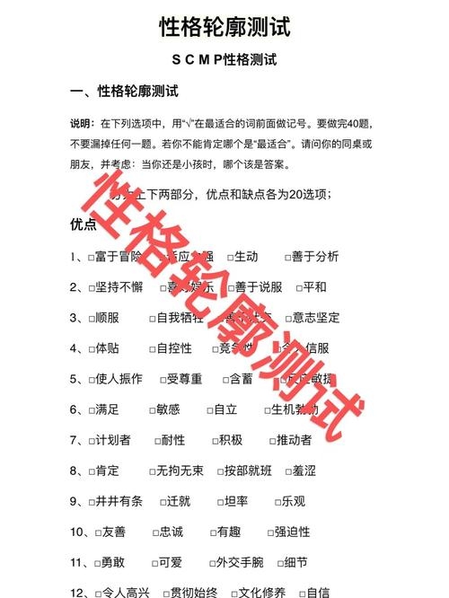 SCMP性格测试，解锁你的个性类型插图