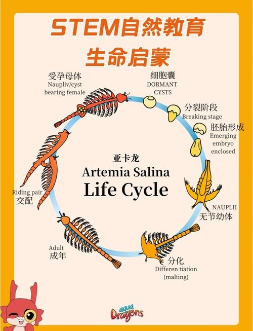 探索suanming的奥秘插图