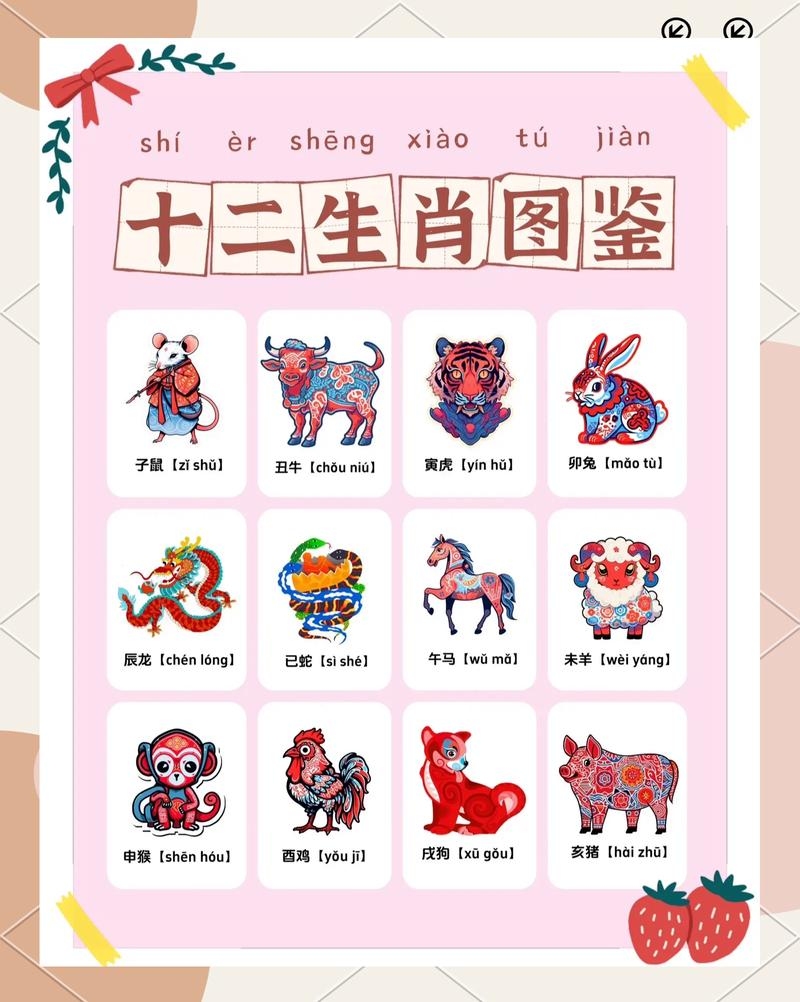 2019年生肖揭秘插图