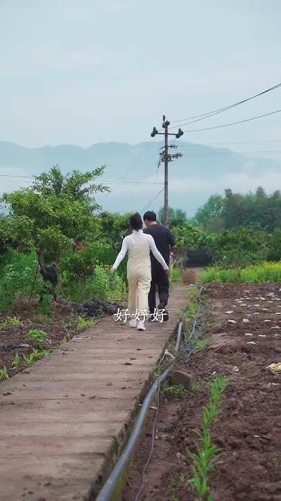 2011年清明节的思念与传承插图