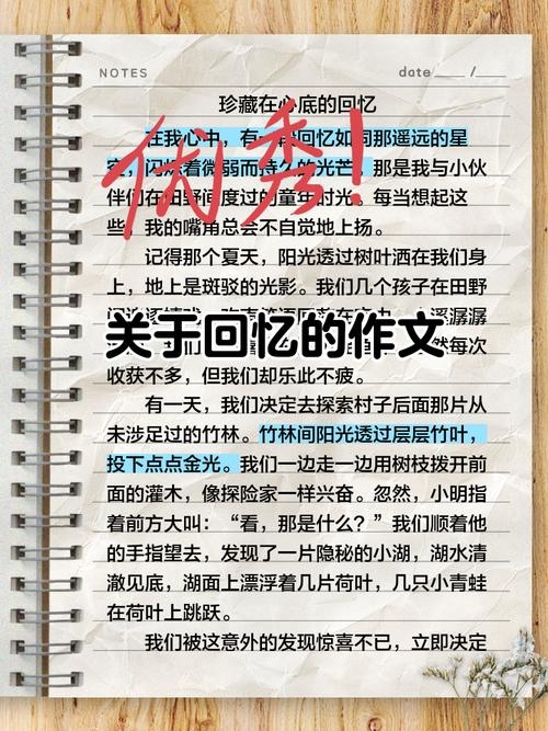 2009年的回忆与展望插图